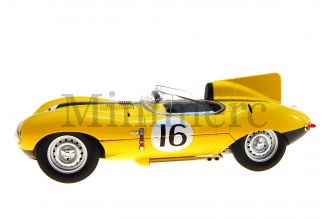 Jaguar D-Type Le Mans Scale Model