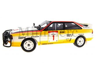 Audi Quattro Safari Rallye Scale Model