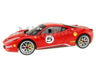 Ferrari 458 Chalange Scale Model