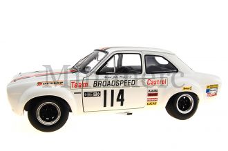 Ford Escort RS 1600 Scale Model