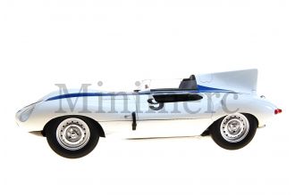 Jaguar D-Type Scale Model