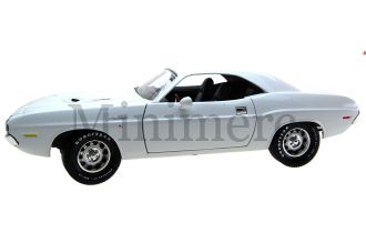 Dodge Challenger R/T Scale Model